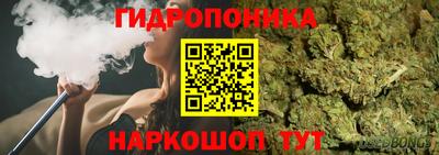 прущие грибы Наро-Фоминск